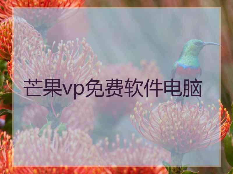 芒果vp免费软件电脑