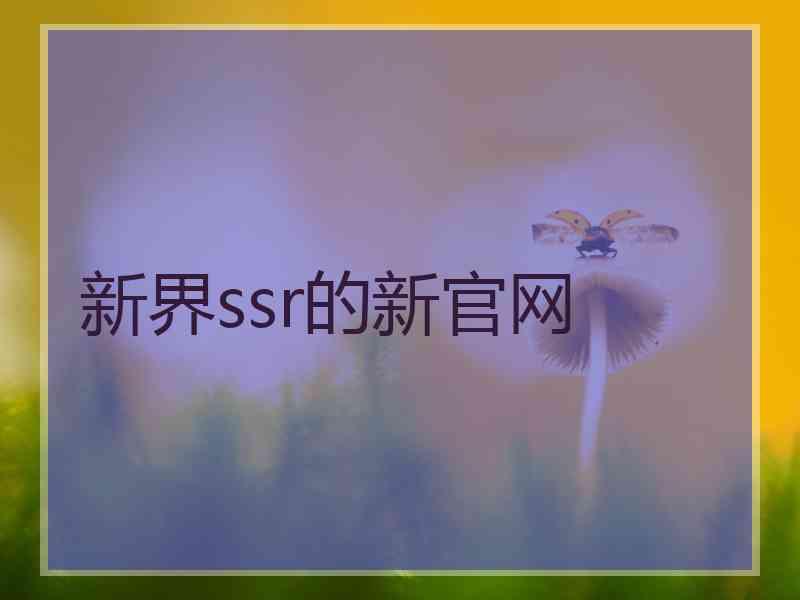 新界ssr的新官网