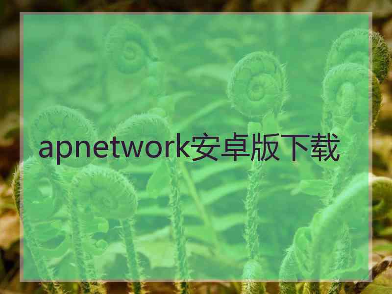 apnetwork安卓版下载