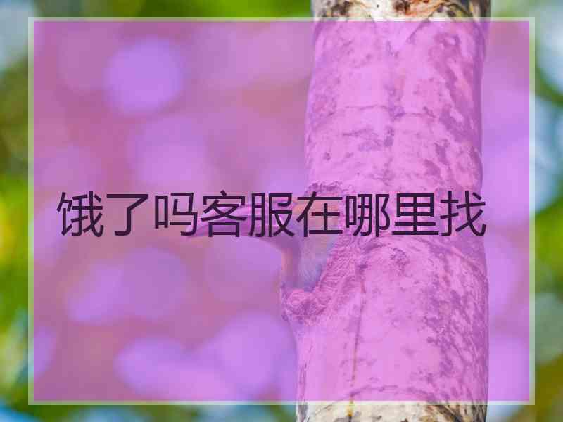 饿了吗客服在哪里找