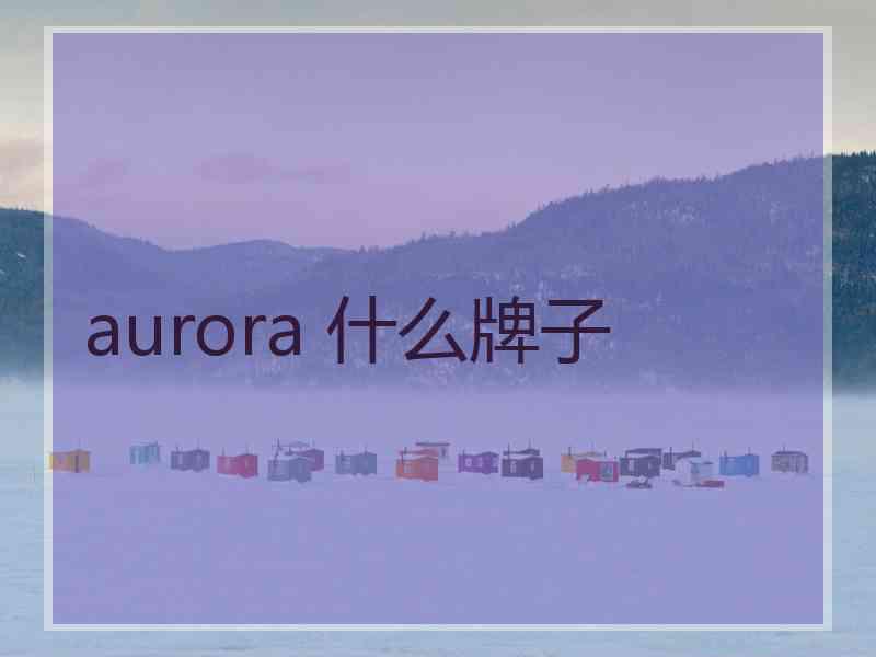 aurora 什么牌子