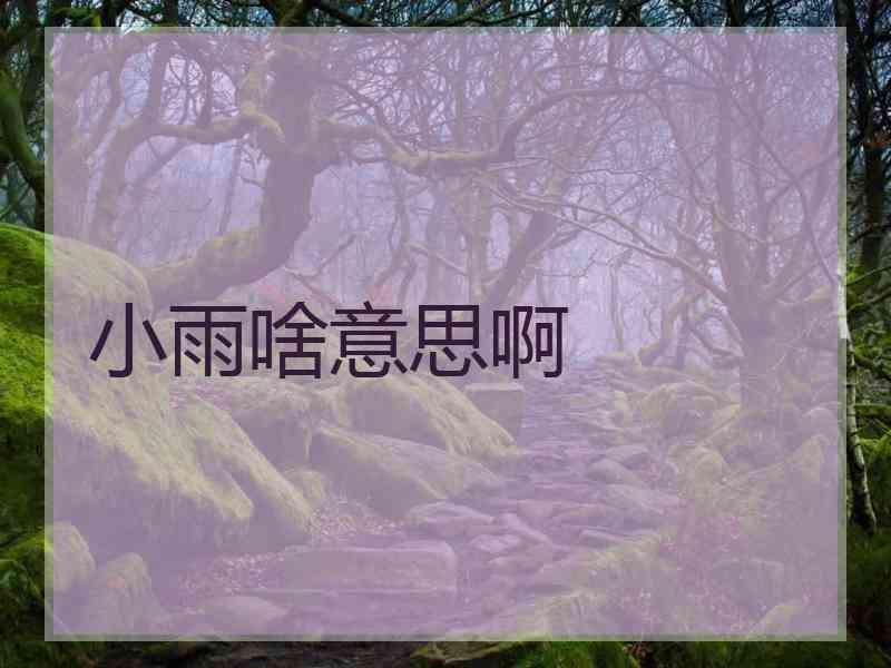 小雨啥意思啊