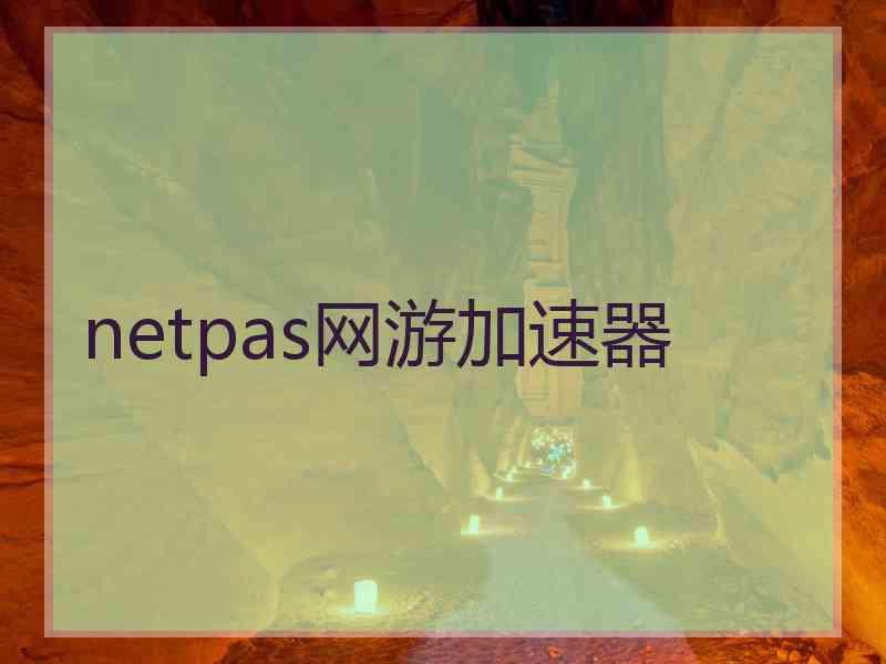 netpas网游加速器