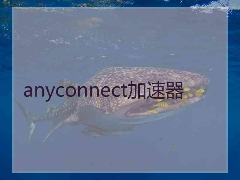 anyconnect加速器