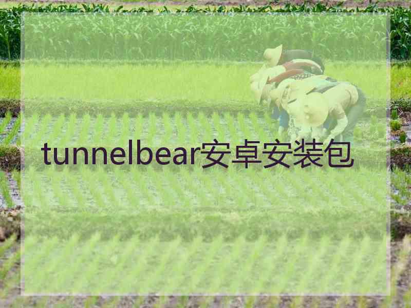 tunnelbear安卓安装包