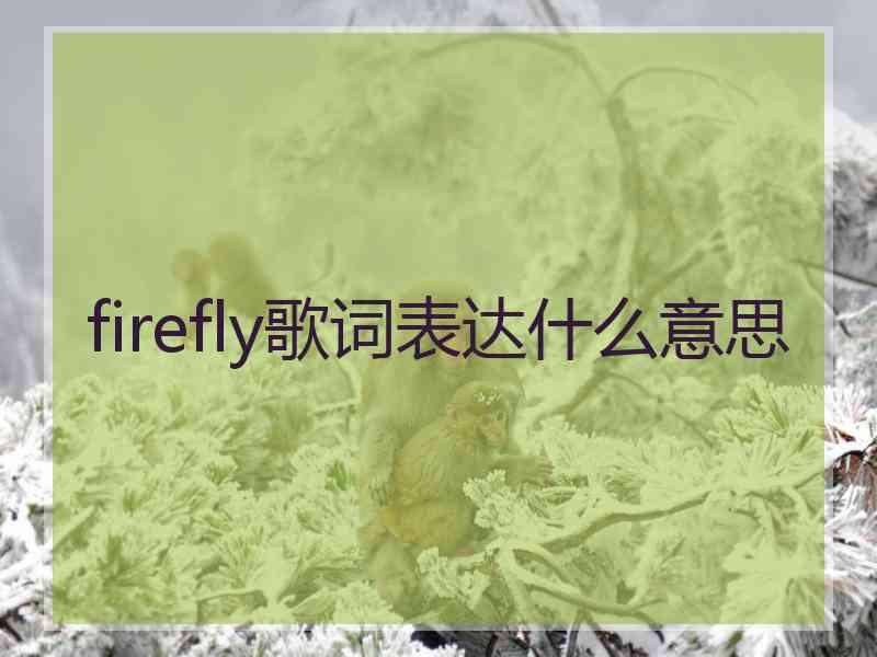 firefly歌词表达什么意思