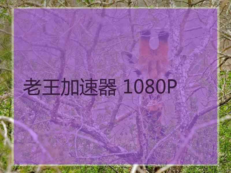 老王加速器 1080P