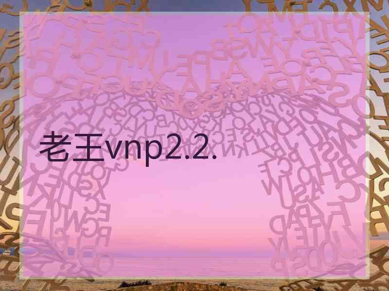 老王vnp2.2.