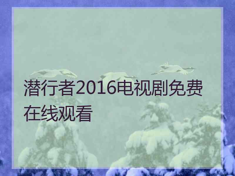 潜行者2016电视剧免费在线观看