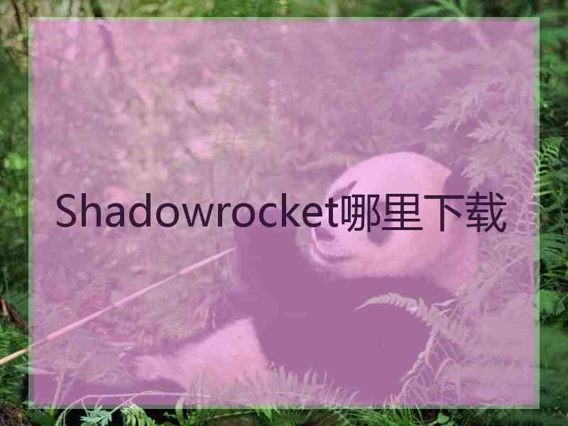 Shadowrocket哪里下载