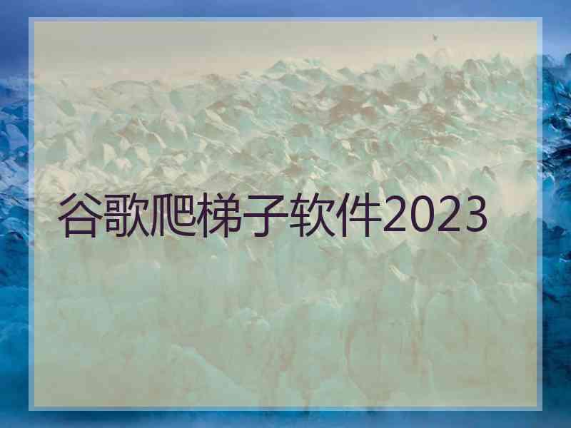 谷歌爬梯子软件2023