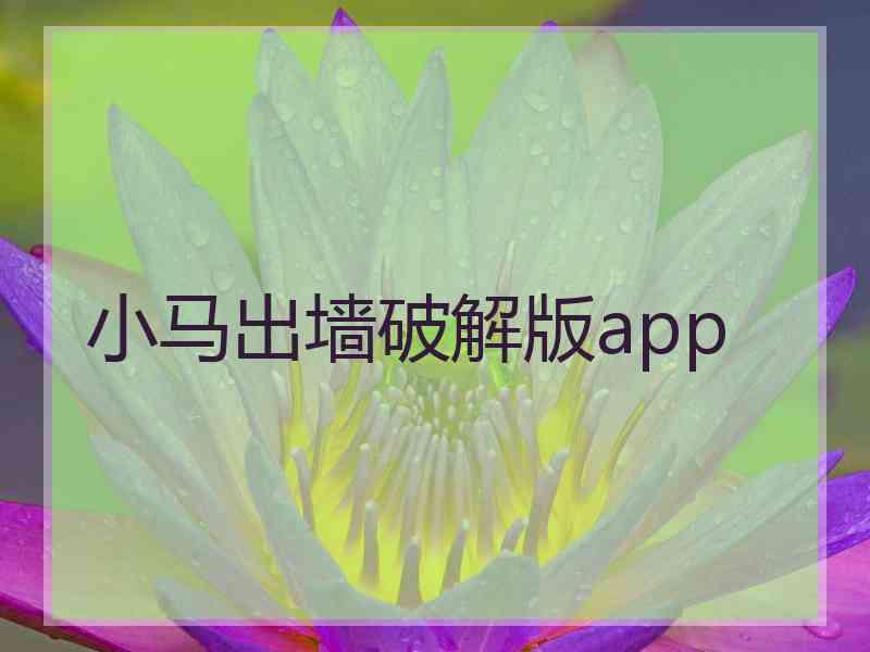 小马出墙破解版app