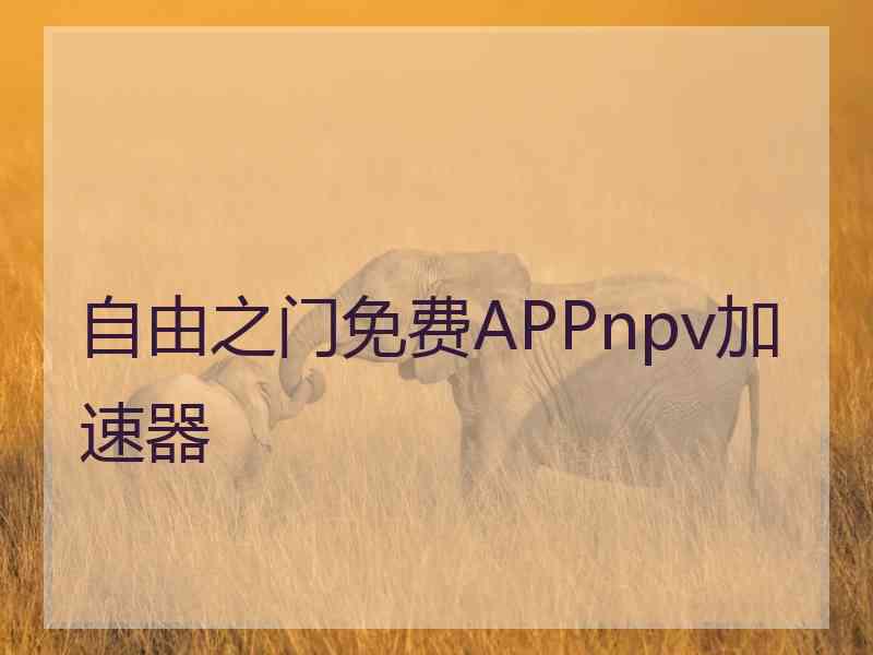 自由之门免费APPnpv加速器