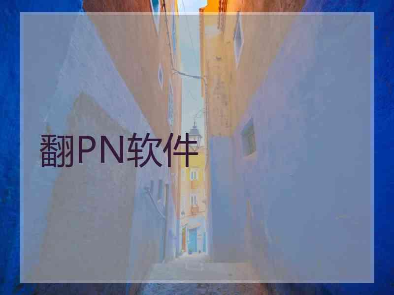 翻PN软件