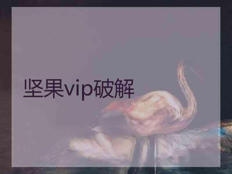 坚果vip破解