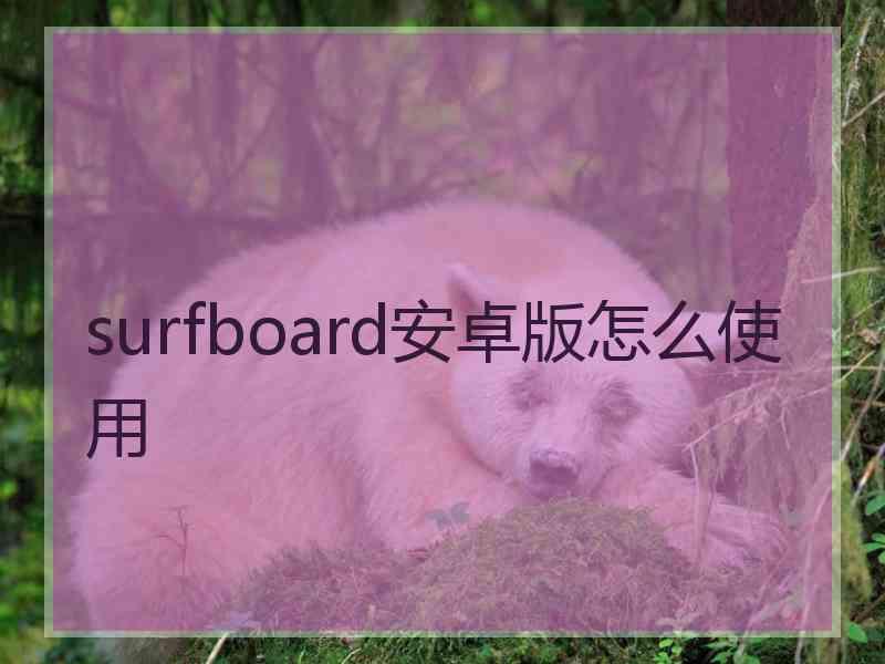 surfboard安卓版怎么使用