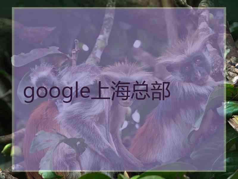 google上海总部