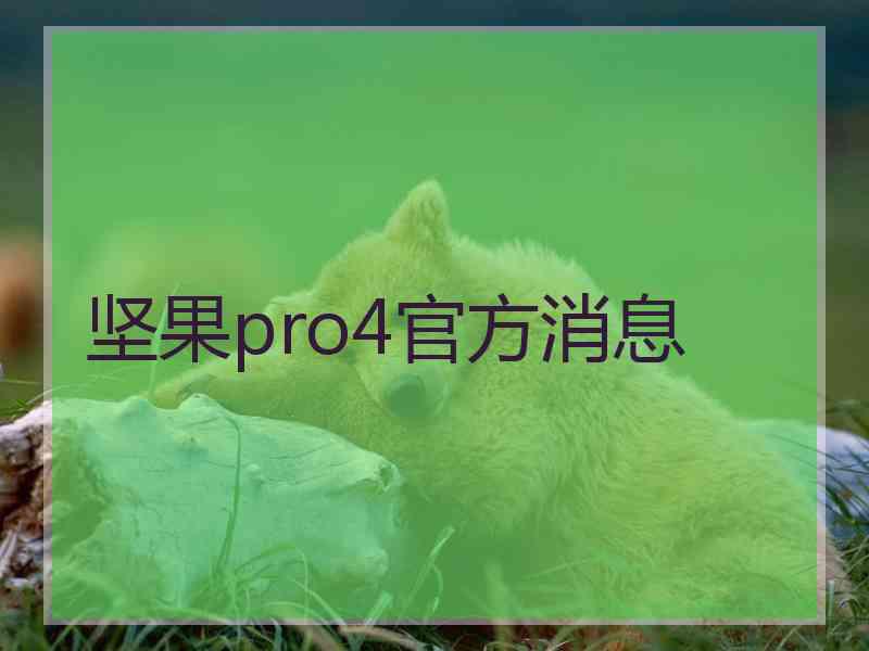 坚果pro4官方消息