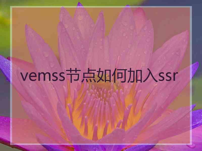 vemss节点如何加入ssr