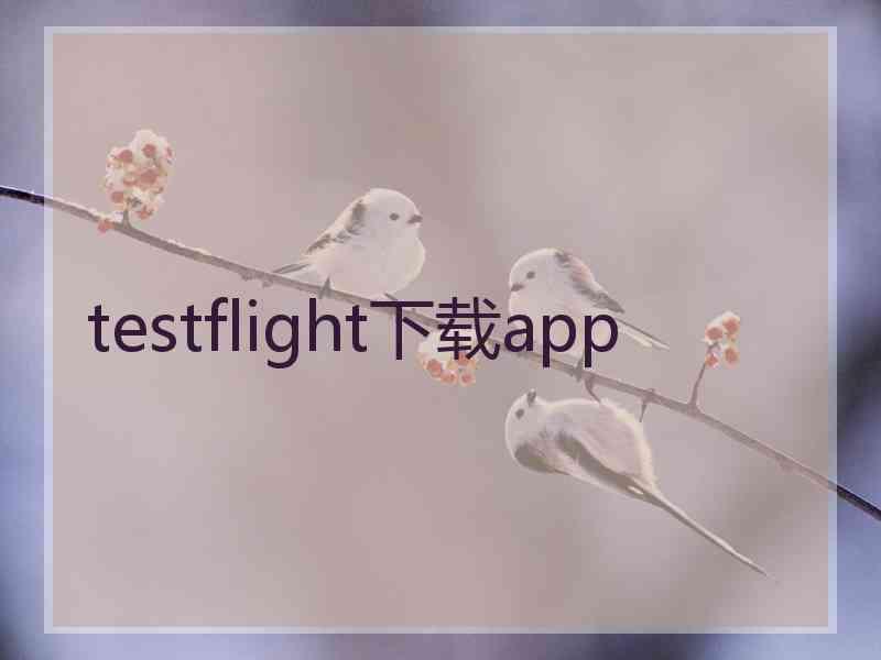 testflight下载app