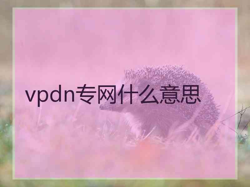 vpdn专网什么意思