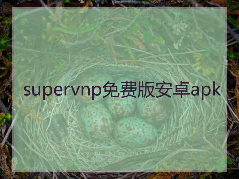 supervnp免费版安卓apk