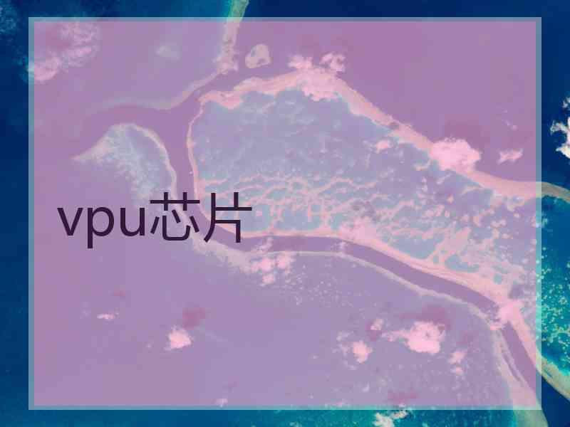 vpu芯片