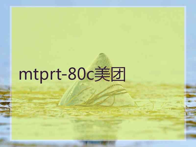 mtprt-80c美团