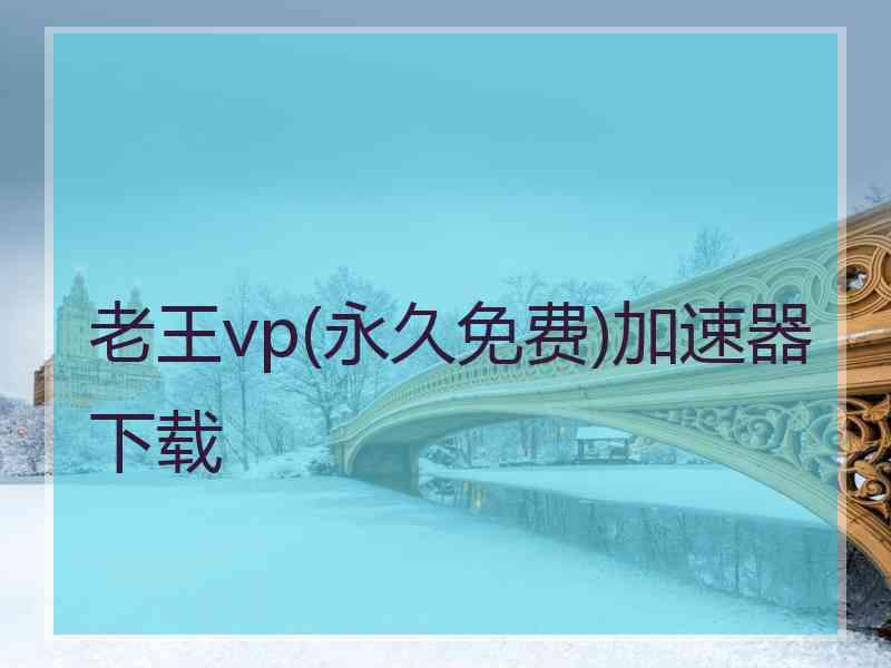 老王vp(永久免费)加速器下载