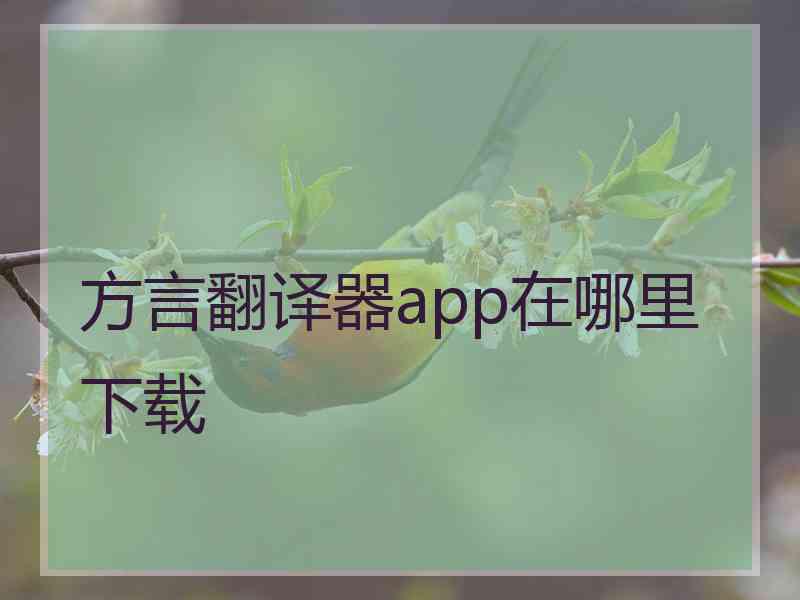 方言翻译器app在哪里下载