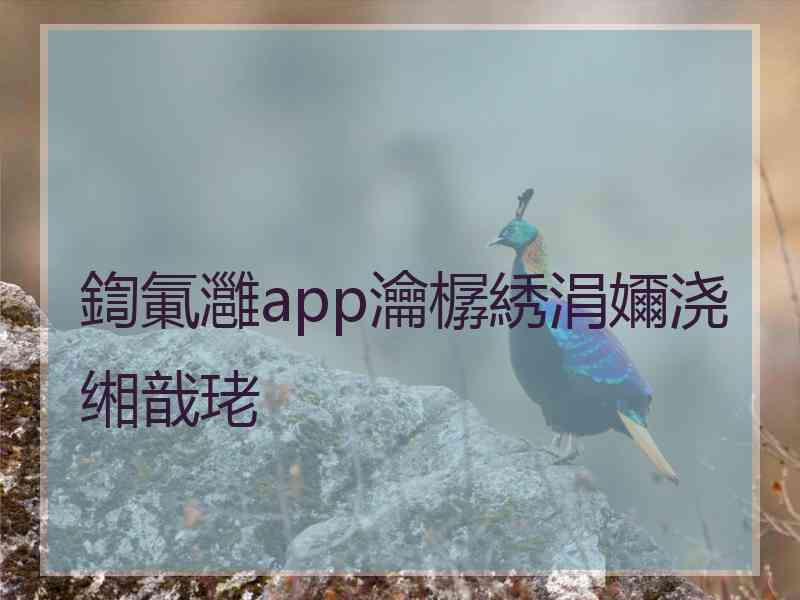 鍧氭灉app瀹樼綉涓嬭浇缃戠珯