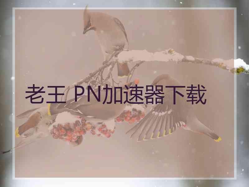 老王 PN加速器下载