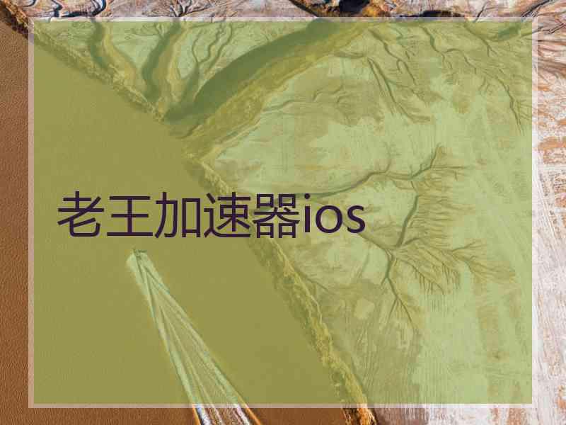 老王加速器ios