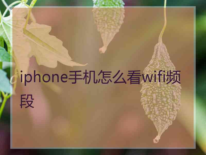 iphone手机怎么看wifi频段