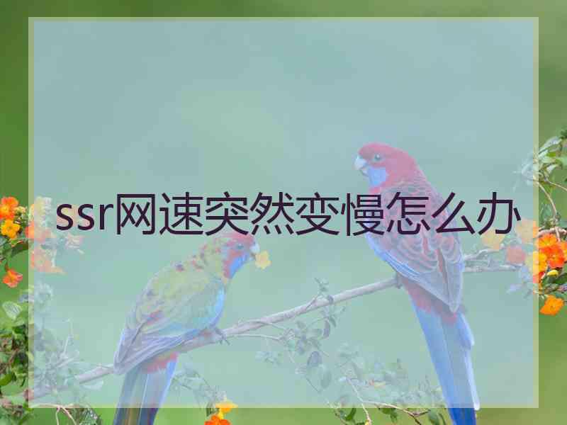 ssr网速突然变慢怎么办