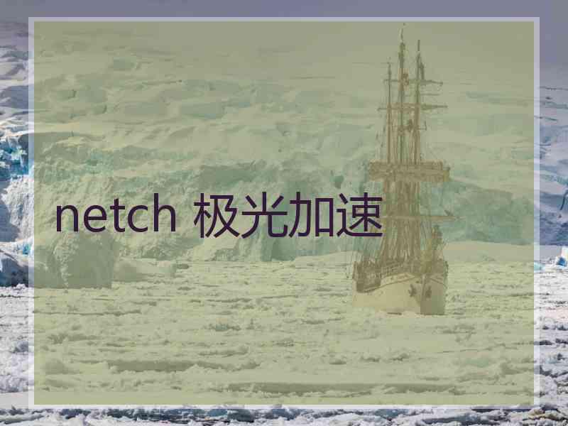 netch 极光加速