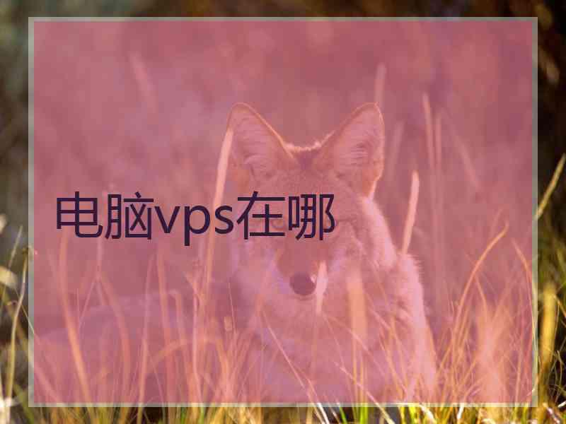 电脑vps在哪