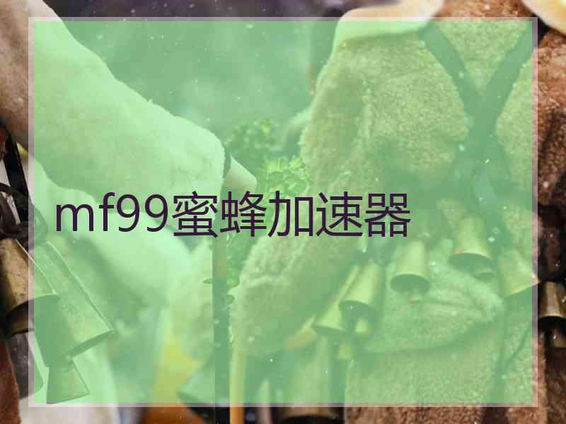 mf99蜜蜂加速器