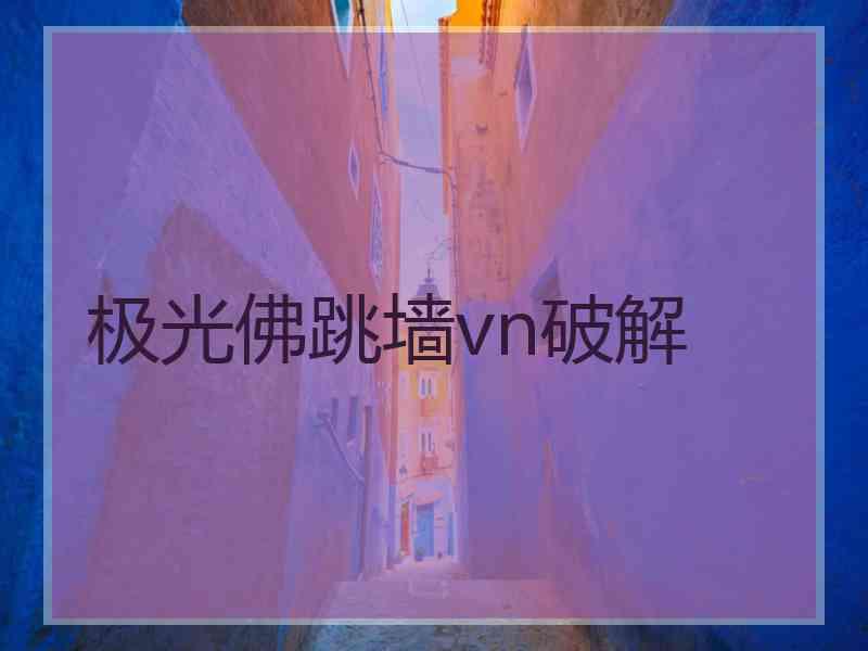 极光佛跳墙vn破解