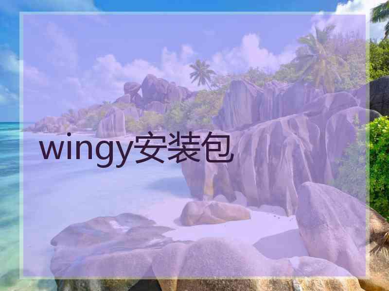 wingy安装包