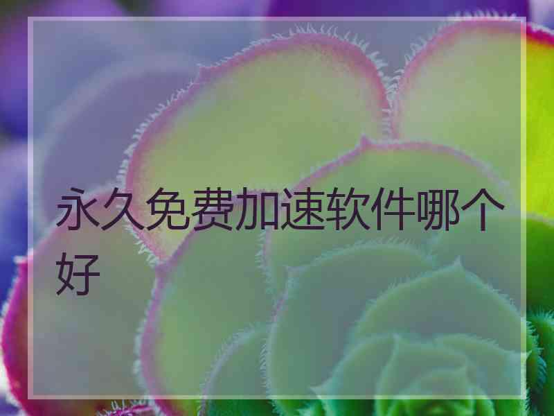 永久免费加速软件哪个好