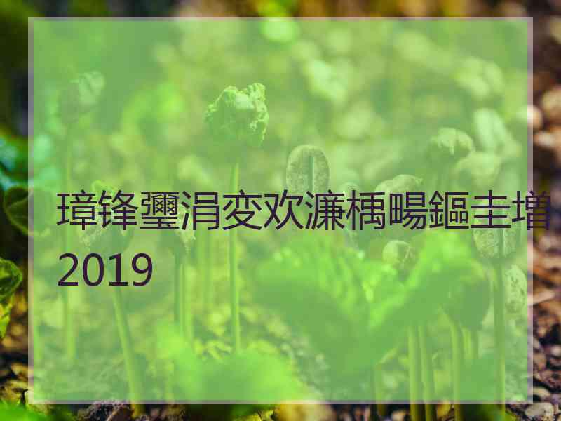 璋锋瓕涓変欢濂楀畼鏂圭増2019