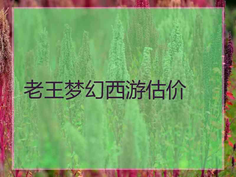 老王梦幻西游估价