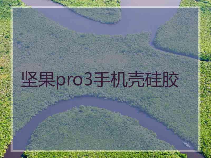 坚果pro3手机壳硅胶