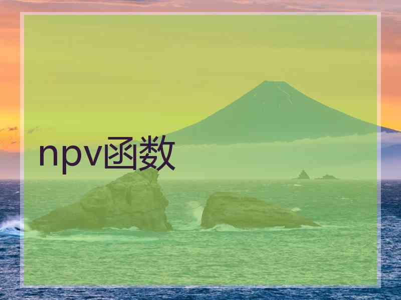 npv函数