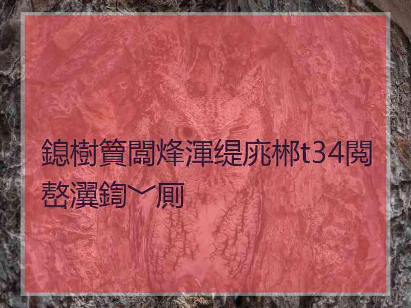 鎴樹簤闆烽渾缇庣郴t34閲嶅瀷鍧﹀厠