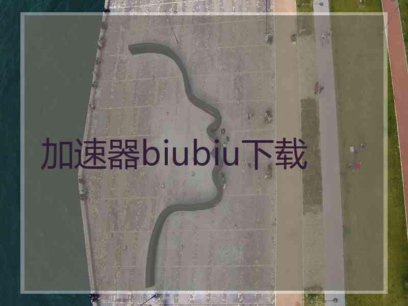 加速器biubiu下载