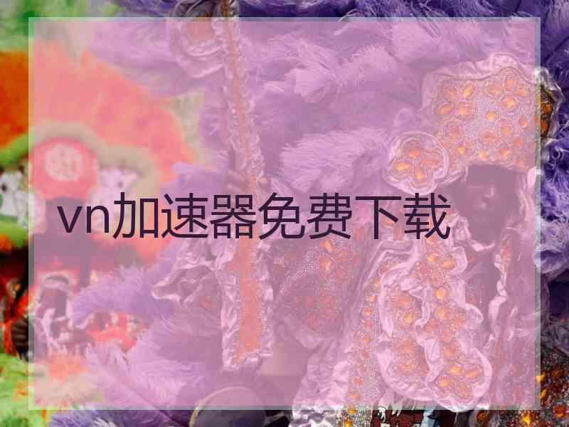 vn加速器免费下载